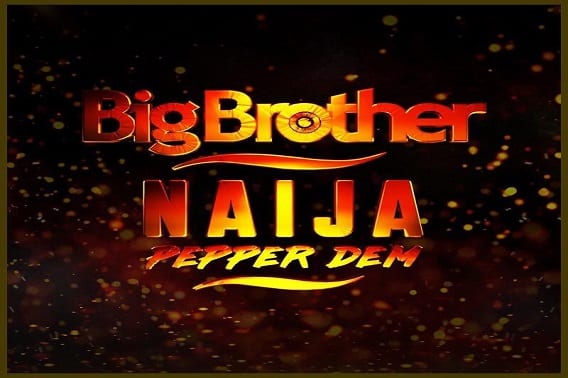 BBNaija 2019 RoundUp: Watch Everything You Have Missed Out From Day 11 Till Today