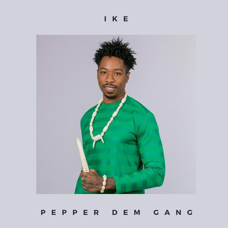 BBNaija 2019: Meet All The 21 Housemates And Know More About Them