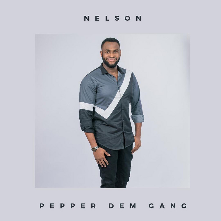 BBNaija 2019: Meet All The 21 Housemates And Know More About Them