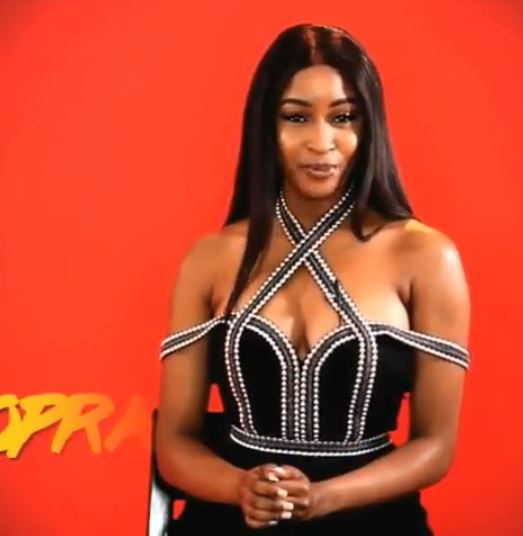 BBNaija 2019: Meet All The 21 Housemates And Know More About Them
