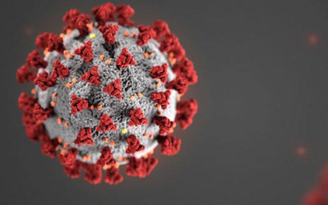 CORONA VIRUS UPDATE: Nigeria Record First Death Case (PHOTO)